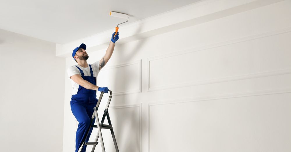 House Painter Angus Ceiling Painting
